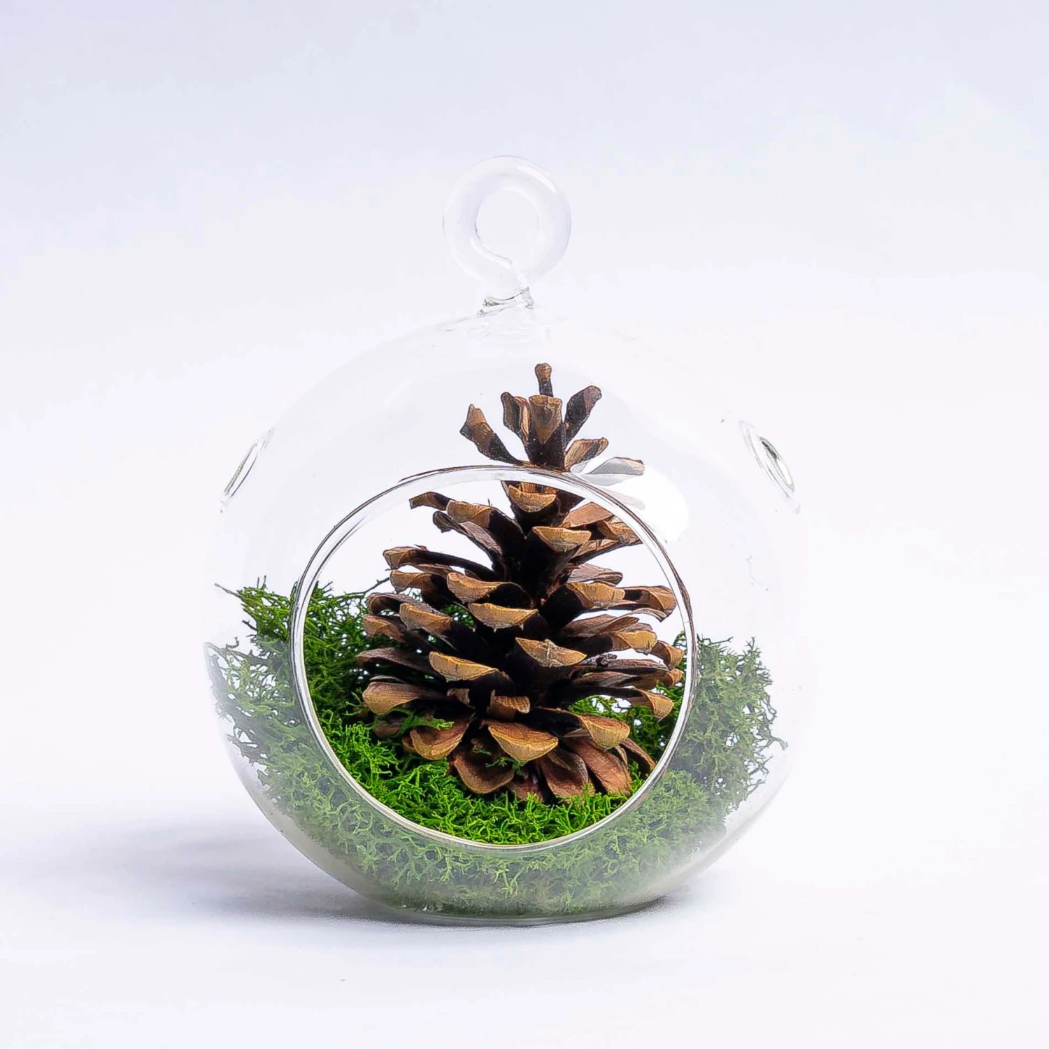 Glass Christmas Ball - Pinecone And Reindeer Moss 1 Glass Christmas Ball - Pinecone And Reindeer Moss