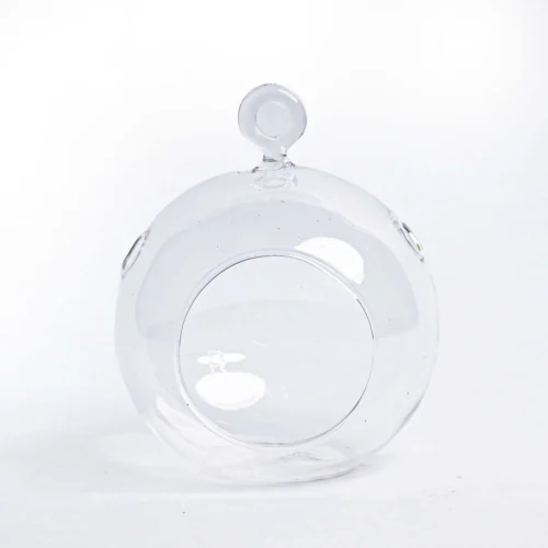 Glass Christmas Ball - Airplant And Reindeer Moss -Plant Haven Home 19811 kerstbal glas helder 825c7159 c57b 4212 999c 32e9acb6fafb