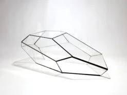 Geometric Terrarium - Plantasia - Vivarium ↑ 50 X 25 X 17,5 Cm (LxWxH) - Glass