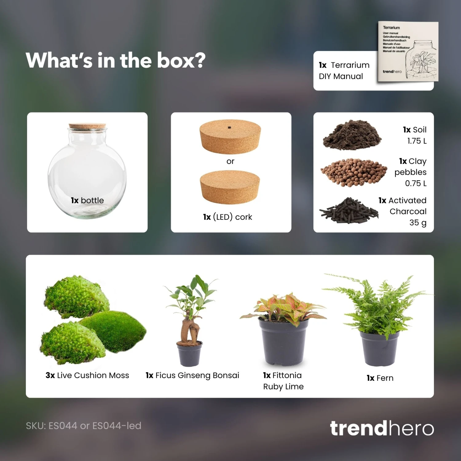 Bolder Bob Bonsai - Terrarium With Light - Bottle Garden DIY Kit - Ø 31 Cm ↑ 30 Cm 5 Bolder Bob Bonsai - Terrarium With Light - Bottle Garden DIY Kit - Ø 31 Cm ↑ 30 Cm - Image 5