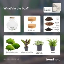 Bolder Bob - Terrarium With Light - Bottle Garden DIY Kit - Ø 31 Cm ↑ 30 Cm -Plant Haven Home Bolder bob terrarium diy bottle garden