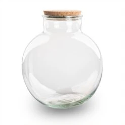 Terrarium Bottle 'Bolder Bob' - Incl. (LED) Cork - Closed Terrarium Ø 30 Cm ↑ 31 Cm -Plant Haven Home BolderBob terrarium fles kurk