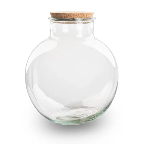 Terrarium Bottle 'Bolder Bob' - Incl. (LED) Cork - Closed Terrarium Ø 30 Cm ↑ 31 Cm 7 Terrarium Bottle 'Bolder Bob' - Incl. (LED) Cork - Closed Terrarium Ø 30 Cm ↑ 31 Cm -Plant Haven Home BolderBob terrarium fles kurk