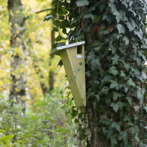 ESSCHERT DESIGN Treecreeper Birdhouse - Nesting Box - Garden Animals 5 ESSCHERT DESIGN Treecreeper Birdhouse - Nesting Box - Garden Animals -Plant Haven Home Boomkruiper Nestkast Tuinaccessoire Trendhero.1 1