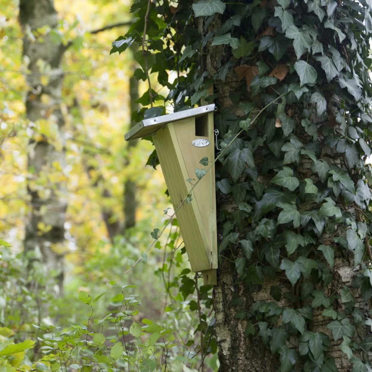 ESSCHERT DESIGN Treecreeper Birdhouse - Nesting Box - Garden Animals 3 ESSCHERT DESIGN Treecreeper Birdhouse - Nesting Box - Garden Animals - Image 3