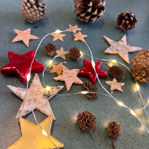 Christmas Terrarium Decoration Kit! -Plant Haven Home Christmas Terrarium Decoration Kit