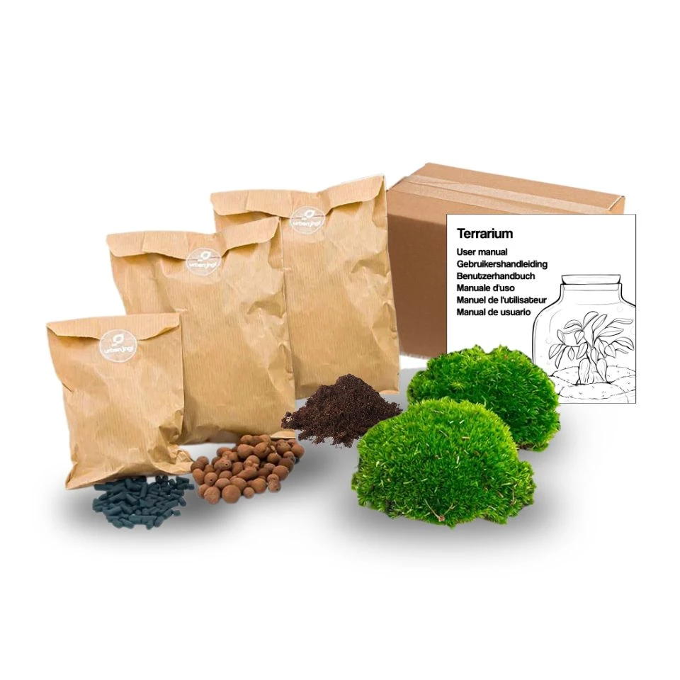 Terrarium Package – Refill & Starter Package – DIY Terrarium Kit – Size S/M 4 Terrarium Package – Refill & Starter Package – DIY Terrarium Kit – Size S/M - Image 4