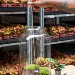 Terrarium Tool - Rake - 16-49 Cm - Telescopic - Stainless Steel 10 Terrarium Tool - Rake - 16-49 Cm - Telescopic - Stainless Steel -Plant Haven Home DSC05490