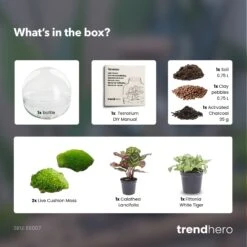 Dome - Two-part Round Glass Terrarium - Bottle Garden DIY Kit - Ø 20 Cm ↑ 20 Cm 8 Dome - Two-part Round Glass Terrarium - Bottle Garden DIY Kit - Ø 20 Cm ↑ 20 Cm -Plant Haven Home Dome green terrarium diy bottle garden