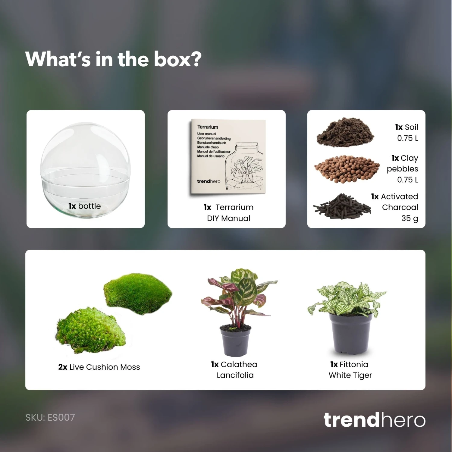 Dome - Two-part Round Glass Terrarium - Bottle Garden DIY Kit - Ø 20 Cm ↑ 20 Cm 4 Dome - Two-part Round Glass Terrarium - Bottle Garden DIY Kit - Ø 20 Cm ↑ 20 Cm - Image 4