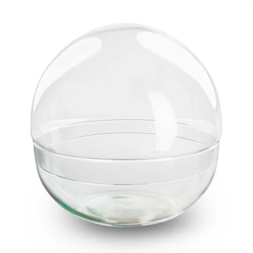 Terrarium Bottle ‘Dome’ – Two-part Round Glass – Closed Terrarium Ø 20 Cm ↑ 20 Cm