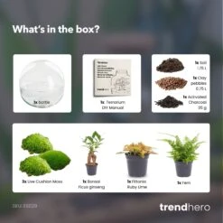 Dome XL Bonsai - Two-part Round Glass Terrarium - Bottle Garden DIY Kit - Ø 28 Cm ↑ 28 Cm -Plant Haven Home Dome xl bonsai terrarium diy bottle garden