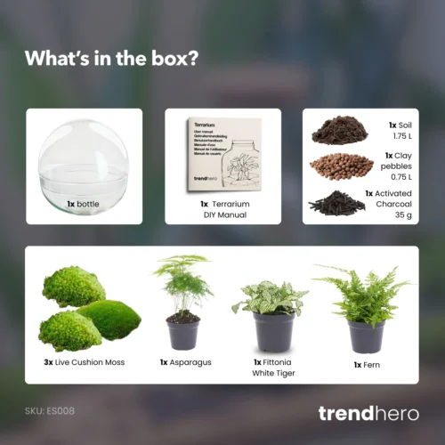 Dome XL - Two-part Round Glass Terrarium - Bottle Garden DIY Kit - Ø 28 Cm ↑ 28 Cm -Plant Haven Home Dome xl green terrarium diy bottle garden