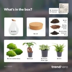 Drop XL Green - Terrarium With Cork - Bottle Garden DIY Kit – Ø 24 Cm ↑ 37 Cm 5 Drop XL Green - Terrarium With Cork - Bottle Garden DIY Kit – Ø 24 Cm ↑ 37 Cm -Plant Haven Home Drop XL Bonsai white terrarium diy bottle garden a0881a44 9705 4e06 95b5 a7d275935994