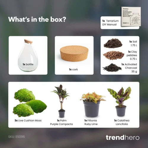 Drop XL Palm - Terrarium With Cork - Bottle Garden DIY Kit – Ø 24 Cm ↑ 37 Cm -Plant Haven Home Drop XL palm terrarium diy bottle garden 7f10f1b9 3ba5 481b 8fc5 8afd02891d1c