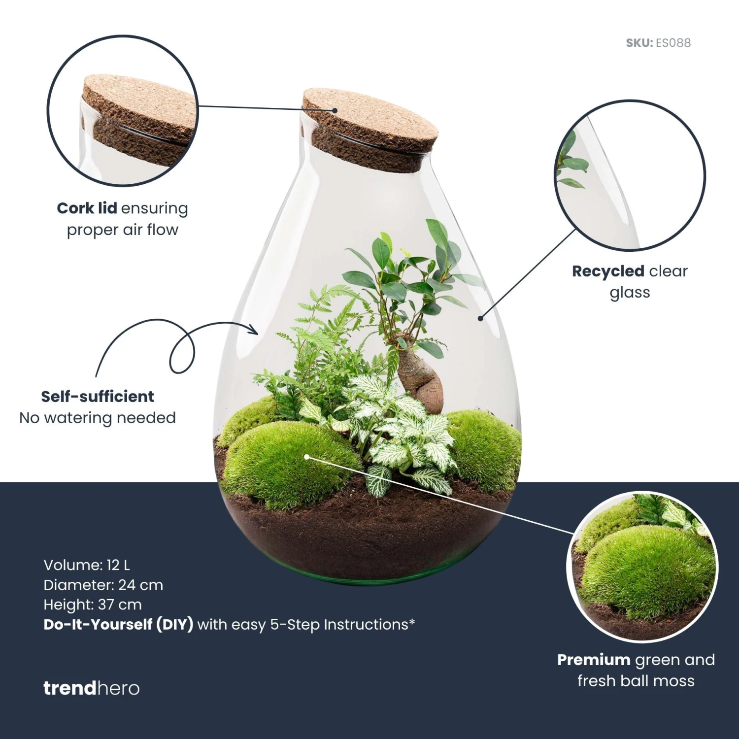 Drop XL Green - Terrarium With Cork - Bottle Garden DIY Kit – Ø 24 Cm ↑ 37 Cm 2 Drop XL Green - Terrarium With Cork - Bottle Garden DIY Kit – Ø 24 Cm ↑ 37 Cm - Image 2