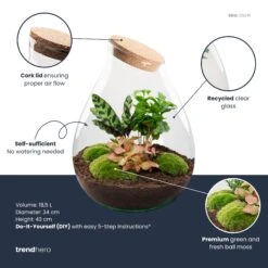 Drop XXL Red - Terrarium With Cork - Bottle Garden DIY Kit - Ø 34 Cm ↑ 43 Cm -Plant Haven Home Drop XXL red plant terrarium diy kit info trendhero d37f5666 08c8 4440 8d61 20857996cf27