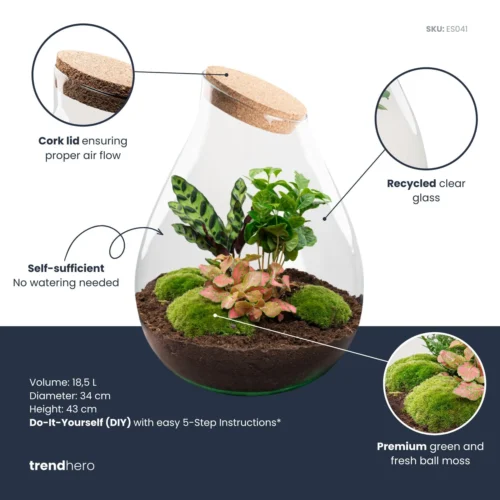 Drop XXL Red - Terrarium With Cork - Bottle Garden DIY Kit - Ø 34 Cm ↑ 43 Cm -Plant Haven Home Drop XXL red plant terrarium diy kit info trendhero d37f5666 08c8 4440 8d61 20857996cf27