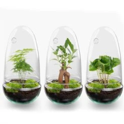 Egg - Terrarium - Two-part Glass Dome - Bottle Garden DIY Kit - Ø 12 Cm ↑ 25 Cm