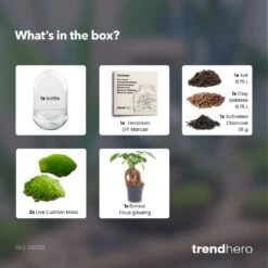 Egg XL Bonsai - Terrarium - Two-part Glass Dome - Bottle Garden DIY Kit - Ø 17.5 Cm ↑ 30 Cm 7 Egg XL Bonsai - Terrarium - Two-part Glass Dome - Bottle Garden DIY Kit - Ø 17.5 Cm ↑ 30 Cm -Plant Haven Home Egg XL bonsai plant terrarium diy bottle garden