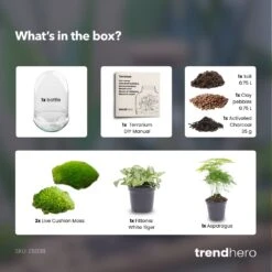 Egg XL - Terrarium - Two-part Glass Dome - Bottle Garden DIY Kit - Ø 17.5 Cm ↑ 30 Cm -Plant Haven Home Egg XL green plant terrarium diy bottle garden e41f15e0 4c72 465f 9618 517a0a74c3ad