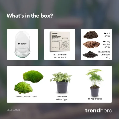 Egg XL - Terrarium - Two-part Glass Dome - Bottle Garden DIY Kit - Ø 17.5 Cm ↑ 30 Cm -Plant Haven Home Egg XL green plant terrarium diy bottle garden e41f15e0 4c72 465f 9618 517a0a74c3ad