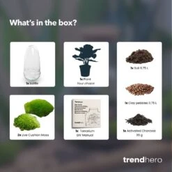 Egg - Terrarium - Two-part Glass Dome - Bottle Garden DIY Kit - Ø 12 Cm ↑ 25 Cm 19 Egg - Terrarium - Two-part Glass Dome - Bottle Garden DIY Kit - Ø 12 Cm ↑ 25 Cm -Plant Haven Home Egg choose plant terrarium diy bottle garden