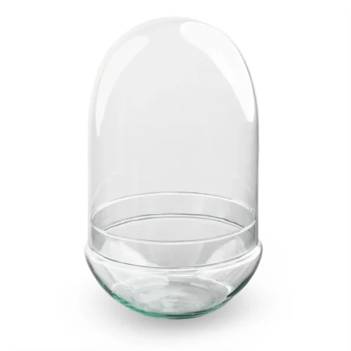 Terrarium Bottle ‘Egg XL’ – Two-part Glass Dome – Closed Terrarium Ø 17.5 Cm ↑ 30 Cm