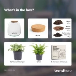 Emma Mini - Terrarium With Cork - Bottle Garden DIY Kit - Ø 19 Cm ↑ 20 Cm -Plant Haven Home Emma mini choose terrarium diy bottle garden