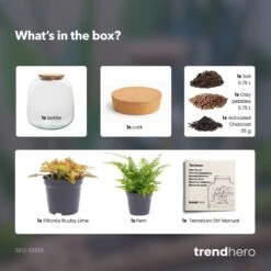 Emma Mini - Terrarium With Cork - Bottle Garden DIY Kit - Ø 19 Cm ↑ 20 Cm -Plant Haven Home Emma mini red diy bottle garden