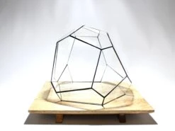 Geometric Terrarium - Torno - Vivarium - ↑ 28 X 26 X 24 Cm (LxWxH) - Glass