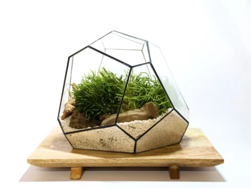 Geometric Terrarium - Torno - Vivarium - ↑ 28 X 26 X 24 Cm (LxWxH) - Glass -Plant Haven Home LUNARCAMPA 11 scaled