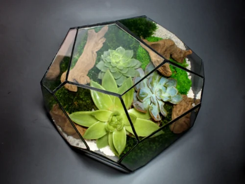 Geometric Terrarium - Torno - Vivarium - ↑ 28 X 26 X 24 Cm (LxWxH) - Glass -Plant Haven Home LUNARCAMPA 13 scaled