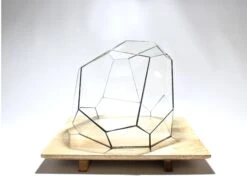 Geometric Terrarium - Torno - Vivarium - ↑ 28 X 26 X 24 Cm (LxWxH) - Glass 10 Geometric Terrarium - Torno - Vivarium - ↑ 28 X 26 X 24 Cm (LxWxH) - Glass -Plant Haven Home LUNARCAMPA 3