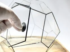 Geometric Terrarium - Torno - Vivarium - ↑ 28 X 26 X 24 Cm (LxWxH) - Glass 11 Geometric Terrarium - Torno - Vivarium - ↑ 28 X 26 X 24 Cm (LxWxH) - Glass -Plant Haven Home LUNARCAMPA 4