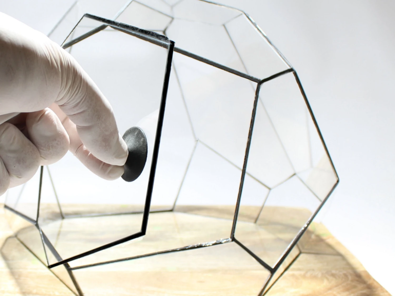 Geometric Terrarium - Torno - Vivarium - ↑ 28 X 26 X 24 Cm (LxWxH) - Glass 4 Geometric Terrarium - Torno - Vivarium - ↑ 28 X 26 X 24 Cm (LxWxH) - Glass - Image 4