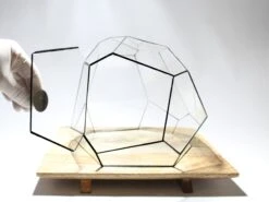 Geometric Terrarium - Torno - Vivarium - ↑ 28 X 26 X 24 Cm (LxWxH) - Glass 12 Geometric Terrarium - Torno - Vivarium - ↑ 28 X 26 X 24 Cm (LxWxH) - Glass -Plant Haven Home LUNARCAMPA 5