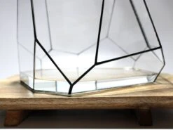 Geometric Terrarium - Torno - Vivarium - ↑ 28 X 26 X 24 Cm (LxWxH) - Glass 13 Geometric Terrarium - Torno - Vivarium - ↑ 28 X 26 X 24 Cm (LxWxH) - Glass -Plant Haven Home LUNARCAMPA 6