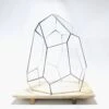 Geometric Terrarium - Stellar - Vivarium - 27x27x36 Cm - Waterproof - Glass
