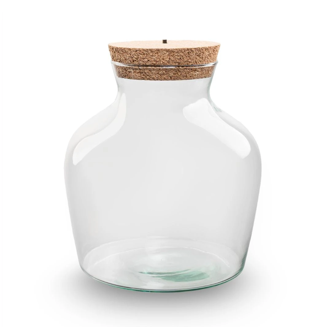 Terrarium Bottle 'Little Joe' - Incl. LED Cork - Closed Terrarium Ø 20 Cm ↑ 22 Cm 2 Terrarium Bottle 'Little Joe' - Incl. LED Cork - Closed Terrarium Ø 20 Cm ↑ 22 Cm - Image 2