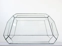 Geometric Terrarium - Nexus - Vivarium - ↑ 41,5 X 21x 23,5 Cm (LxWxH) - Glass