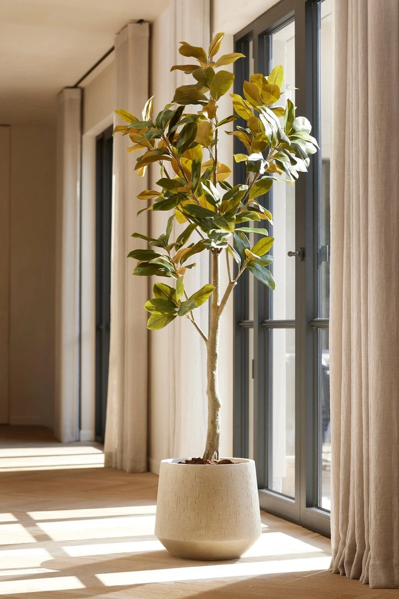 Magnolia Denudata - 150 Cm - Artificial Tree 2 Magnolia Denudata - 150 Cm - Artificial Tree - Image 2