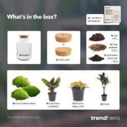 Milky Palm - Terrarium - Bottle Garden DIY Kit - Ø 21 Cm ↑ 30 Cm 9 Milky Palm - Terrarium - Bottle Garden DIY Kit - Ø 21 Cm ↑ 30 Cm -Plant Haven Home Milky palm terrarium diy bottle garden 8d0f9886 08f7 4d0a a90e 968fb025c036