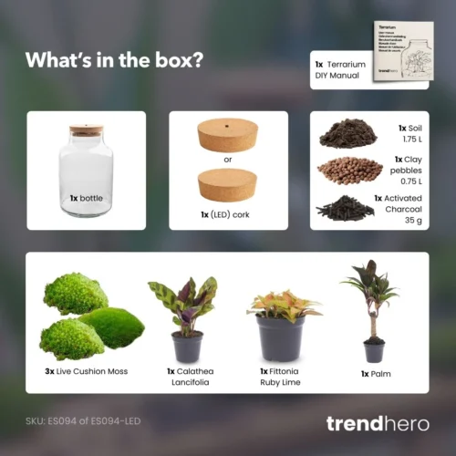 Milky Palm - Terrarium - Bottle Garden DIY Kit - Ø 21 Cm ↑ 30 Cm 9 Milky Palm - Terrarium - Bottle Garden DIY Kit - Ø 21 Cm ↑ 30 Cm -Plant Haven Home Milky palm terrarium diy bottle garden 8d0f9886 08f7 4d0a a90e 968fb025c036