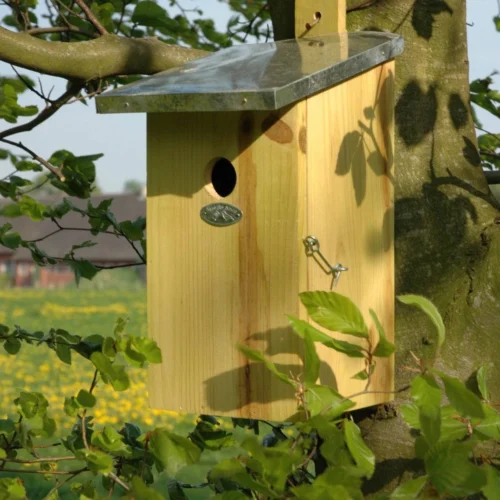 ESSCHERT DESIGN Observation Nesting Box - Birdhouse - Birds & Garden -Plant Haven Home Observatiekast vogelhuis Nestkast Trendhero.4