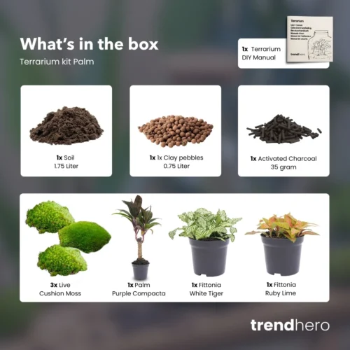 Palm - Plant Terrarium Refill & Starter Kit - 3 Terrarium Plants - DIY -Plant Haven Home Palm 3 terrarium plants refill kit trendhero