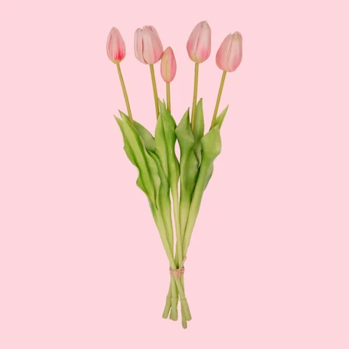 Strawberry Girl Vase + 10x Real Touch Pink Tulips – Silk Artificial Tulips 8 Strawberry Girl Vase + 10x Real Touch Pink Tulips – Silk Artificial Tulips -Plant Haven Home RozeWeb a727eaea 1ade 4d28 b171 2d16914916c0