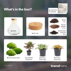 Sam XL Red - Terrarium With Light - Bottle Garden DIY Kit - Ø 30 cm ↑ 32 cm 11 Sam XL Red - Terrarium With Light - Bottle Garden DIY Kit - Ø 30 cm ↑ 32 cm -Plant Haven Home SamXL Red terrarium diy bottle garden