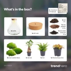 Sam XL Bonsai - Terrarium With Light - Bottle Garden DIY Kit - Ø 30 cm ↑ 32 cm -Plant Haven Home SamXL bonsai terrarium diy bottle garden