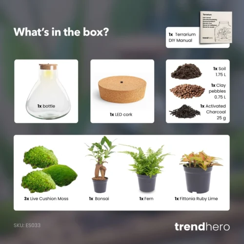 Sam XL Bonsai - Terrarium With Light - Bottle Garden DIY Kit - Ø 30 cm ↑ 32 cm 10 Sam XL Bonsai - Terrarium With Light - Bottle Garden DIY Kit - Ø 30 cm ↑ 32 cm -Plant Haven Home SamXL bonsai terrarium diy bottle garden